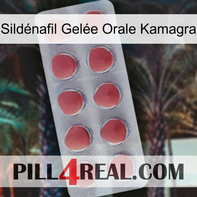 Sildénafil Gelée Orale Kamagra 18
